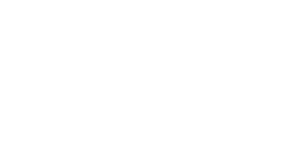 McLean Logo White