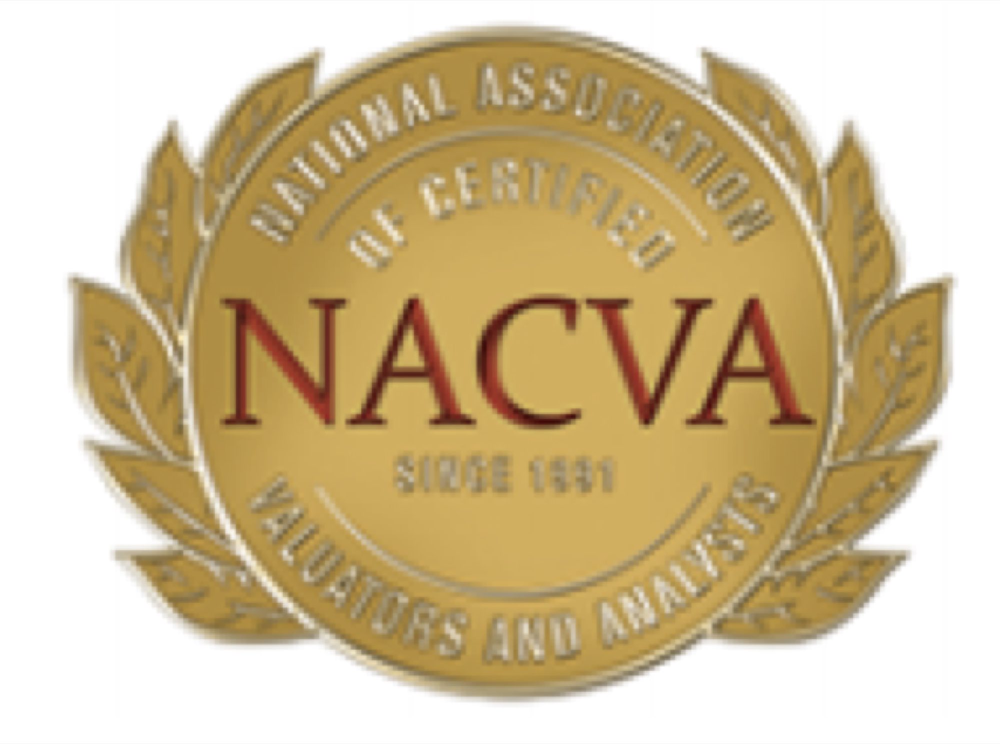 NACVA — National Association of Certified Valuators and Analysts